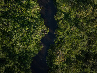 Vista aérea de la selva en Rioja, San Martín, Perú, considerada puerta de entrada a la Amazonía