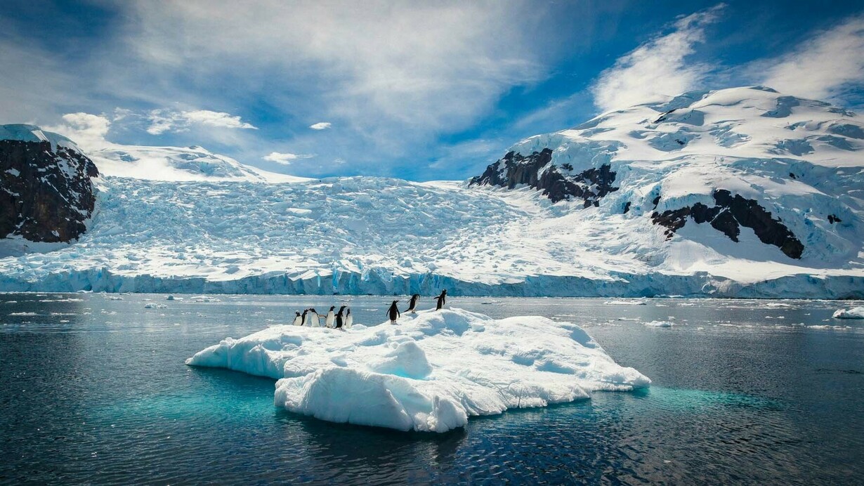 The Antarctic