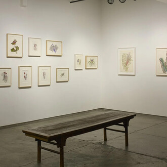 Anna Zemánková, Collaging the visition, exhibition view. Courtesy of Cavin Morris Gallery