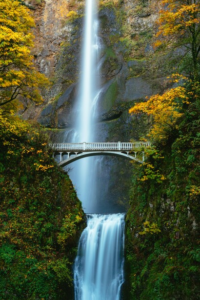 Agua cae por una cascada rodeada de plantas