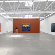 Nicolas Grenier, Flags, exhibition view. Courtesy of Luis De Jesus Los Angeles