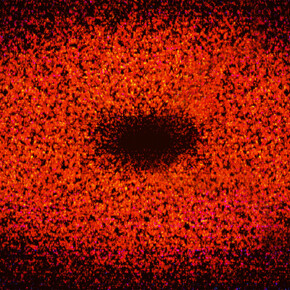 SungYong Hong. Courtesy of Erarta Museum