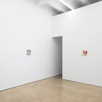 Salim Green, Paintings, exhibition view. Courtesy of François Ghebaly Gallery