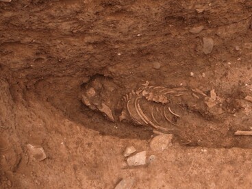 Sepoltura di epoca medievale rinvenuta nel sito di Oued Beht (foto: M. Cygan, Archivio OBAP)