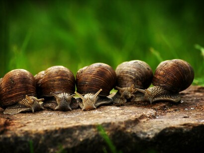 Go slowly