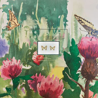 Loophole. Courtesy of Naturhistorisches Museum Basel