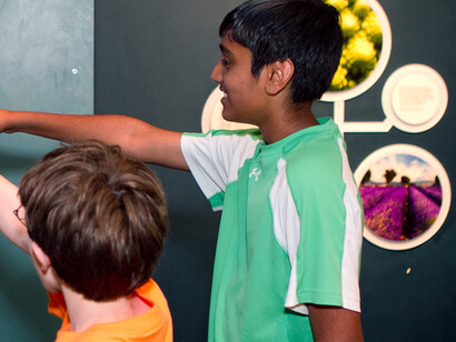 Take a Closer Look. Courtesy of Museum of Science 