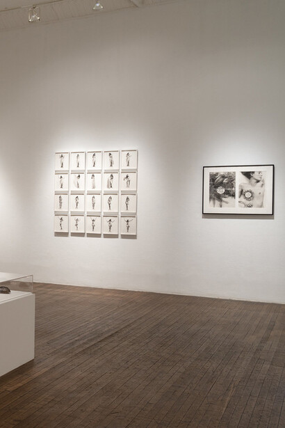 Force of Nature. Courtesy of Ronald Feldman Gallery