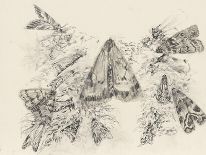 Lili Fischer. Courtesy of Hamburger Kunsthalle
