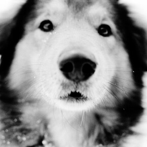 © Jean-François Spricigo. Courtesy Galerie Maeght, Paris, 2014