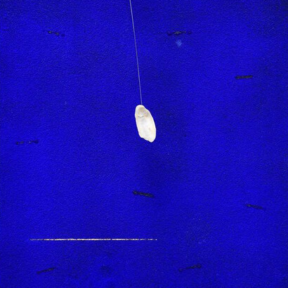 Pier Paolo Calzolari, Senza titolo, 2021. Per gentile concessione della Galleria Franco Noero 