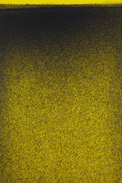 John Knuth, Ascension Plain (2014) Acrylic/flyspeck on canvas cm. 152.4x91.44 (in. 60 x 36)
