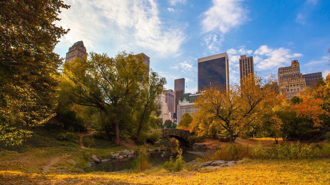 Dying Parks in our Cities 