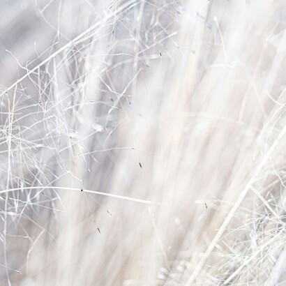 Pedriali non cercava interpretazioni né simboli, ma lasciava che la verità emergesse dal silenzio della carne