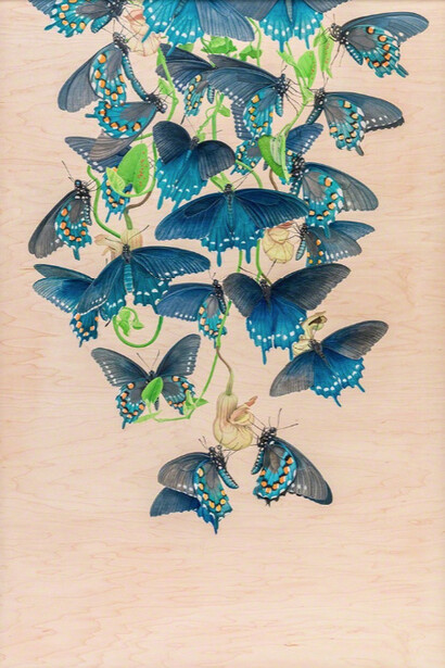 Spectrum. Courtesy of Joshua Liner Gallery