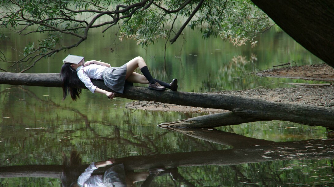 A woman lying on a tree branch near the water