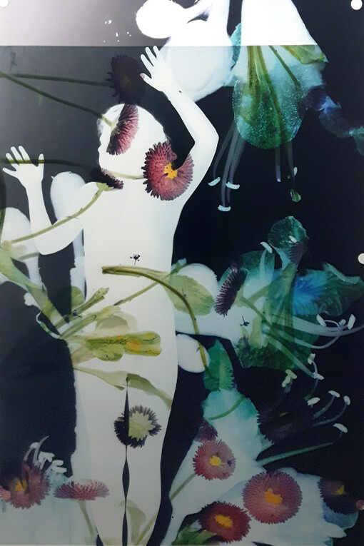 Queen of Hearts. Courtesy of Galerie Paris-Beijing