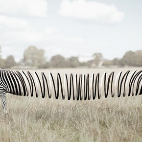 Zulkarnain Ismail. Courtesy of Erarta Museum