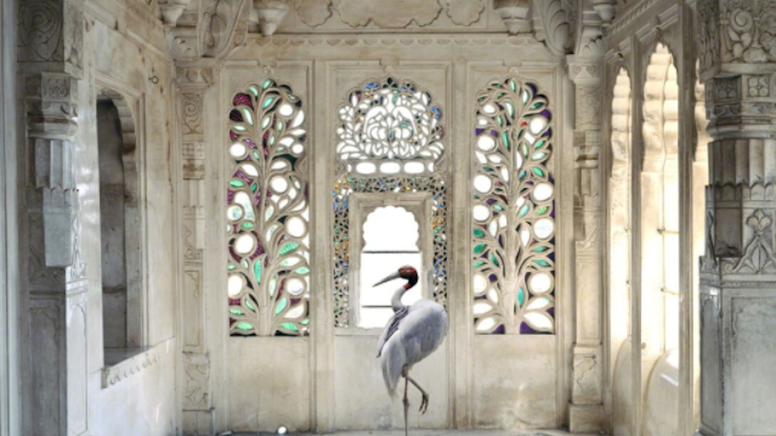 Karen Knorr. Courtesy of Danziger Gallery