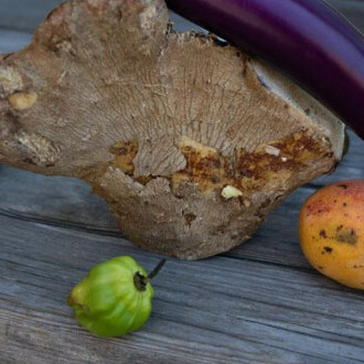 Wolfgang Tillmans. Courtesy of WIELS