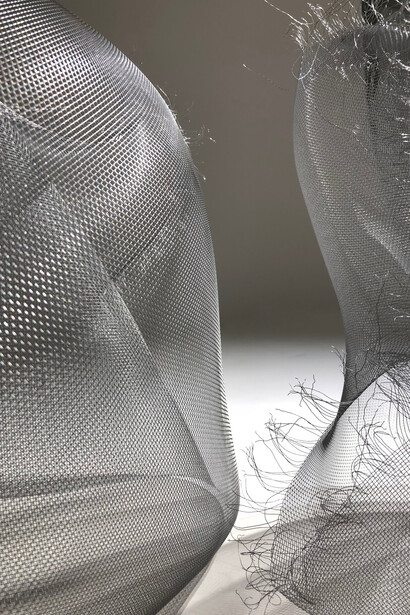 Translution (Details), Site- Specific Installation, Dimension Variable, 2018