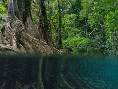 Vista de Semuc Champey desde las lagunas. Foto: Willy Castellanos