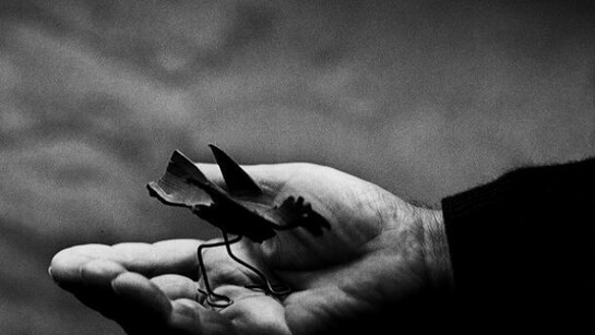 Alexander Calder, Roxbury, 1965