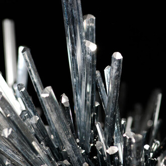 Grand Gallery. Courtesy of American Museum of Natural History