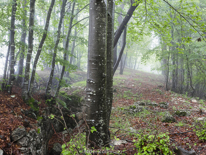Federico Donato, Cento #5, 2014, fotografia digitale su carta cotone, 42 x 59,4 cm
