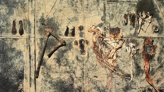 Rolando Castellón, MADC, 2005