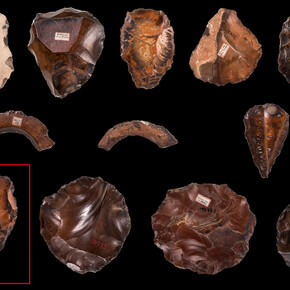 Prähistorische Hornsteingeräte, die G. Schweinfurth in Theben aufgelesen hat, darunter ein
 Faustkeil (ÄM 18886), Ägypten, Theben, Mittelpaläolithikum, ca. 500.000. Mit freundlicher genehmigung des Neuen Museums