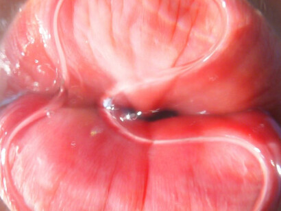 Pipilotti Rist, Mercy Garden (still), 2014. Courtesy of New Museum
