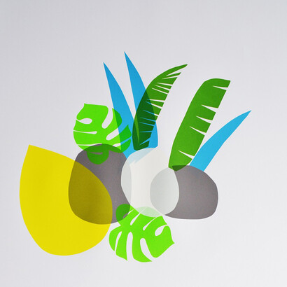 Heidi Plant, Botanical Mischief 