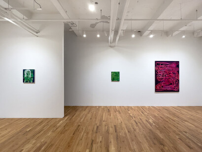Sarah Gamble, Second sight, exhibition view. Courtesy of Fleisher/Ollman Gallery 