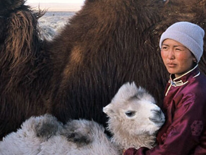 La storia del cammello che piange