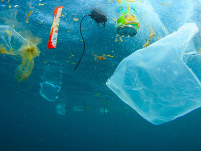 Los océanos, en coma