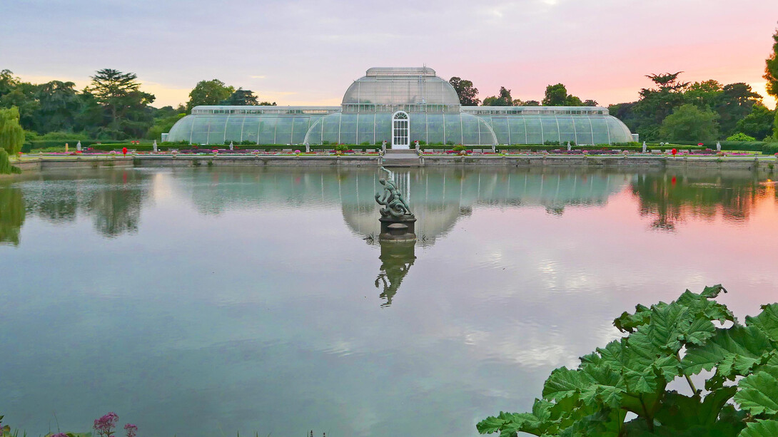 Palm House, Londra