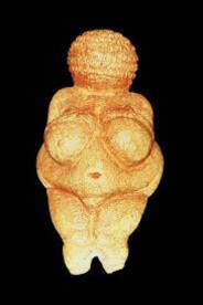 The Venus figurines, small sculptures of female figures with exaggerated features, are believed to symbolize fertility, survival, or spiritual beliefs and were created by early humans across Europe and Asia over 30,000 years ago