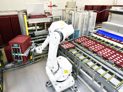 Industrial production of bakery products using automated machinery and conveyor systems in a high-tech food processing facility