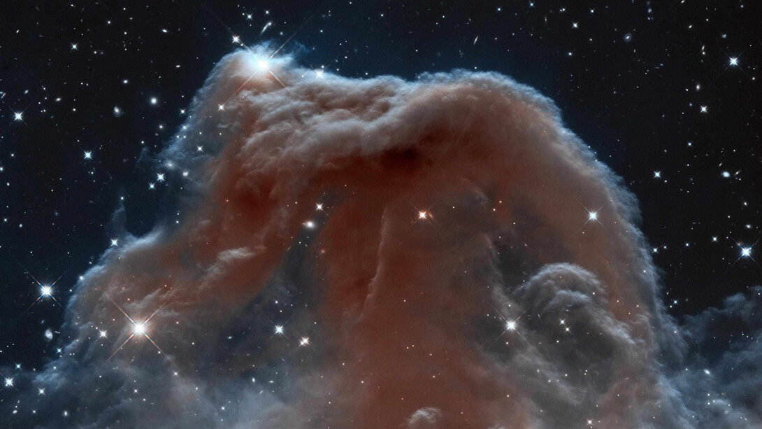La nebulosa Cabeza de Caballo o Barnard 33