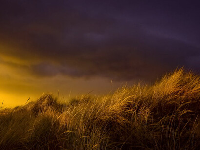 With each gust of wind, the tall grass illustrates the dynamic nature of limits, reminding us that movement and change are always possible, even amid impending storms