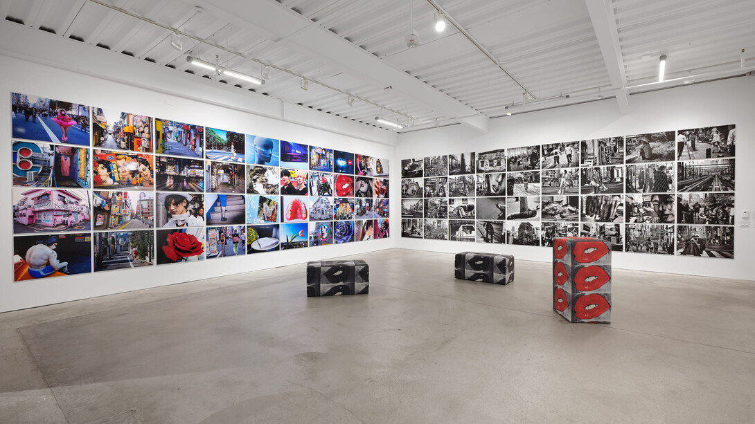 Moriyama Daido, Dog and man, exhibition view. Courtesy of Casemore Gallery 