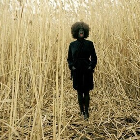 Simmons Xaviera, One Day Standing, Rubell Family Collection