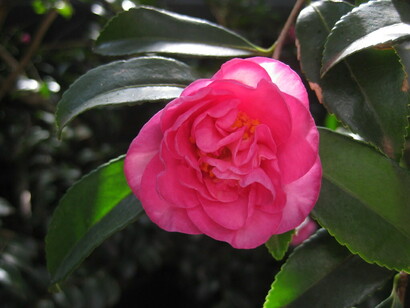 L’amore parte da dentro di noi perché è dentro di noi che Dio ha instillato la Scintilla Divina