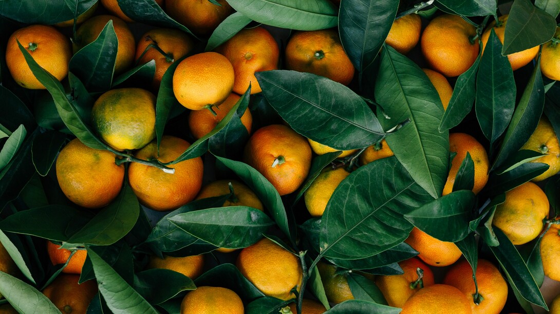 Naranjas