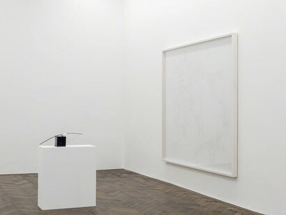 Alice Cattaneo. Courtesy of Galerie Hubert Winter
