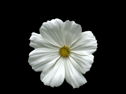 Don’t judge your fears: identify them with gentleness and compassion