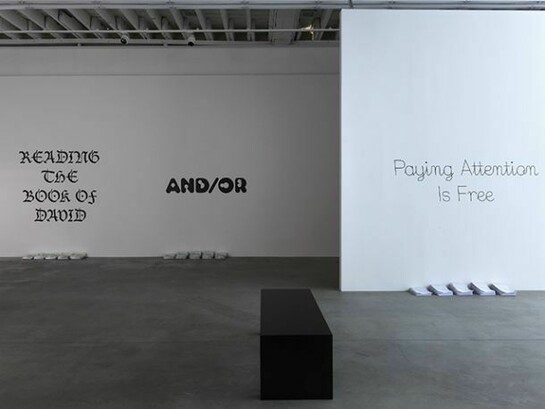 Frances Stark, installation views. Photos by Thomas Müller