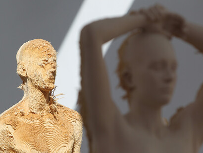 Aron Demetz. Memoridermata