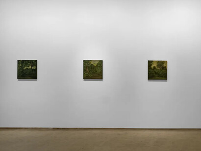 Sahil Naik, Sour stars and breadfruit monsoons, exhibition view. Courtesy of Experimenter